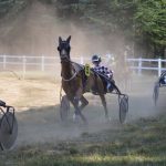 Pacing - Horses with Sulkies in a Harness Race